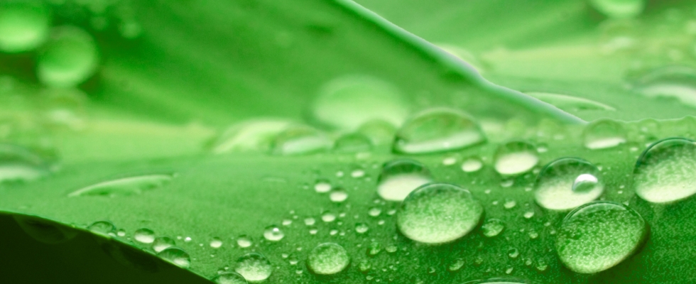 Utilizziamo solo prodotti che rispettano l’ambiente